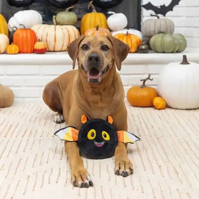 Durable Bat Dog Toy