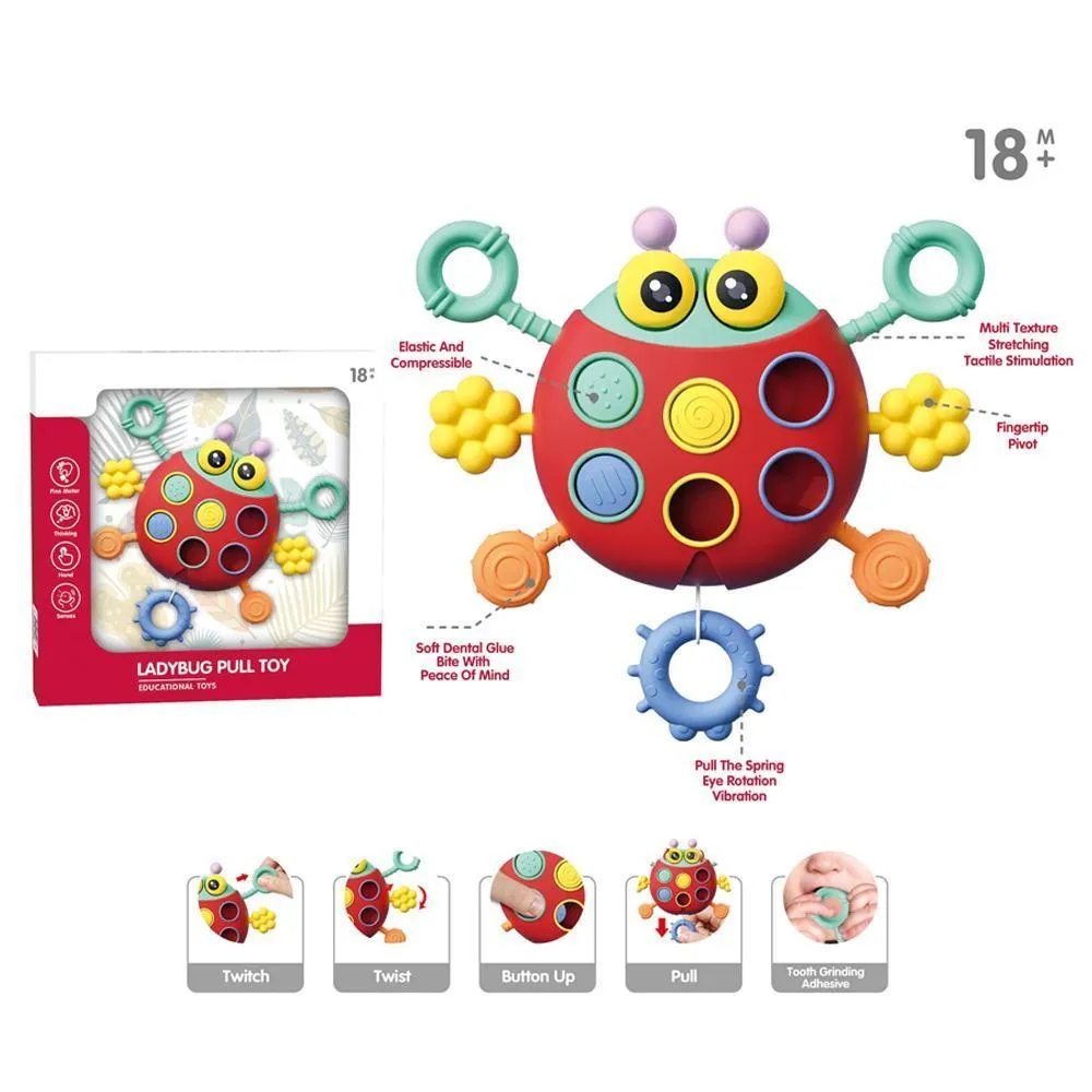 Ladybug Pull Toy - Ages 18M 