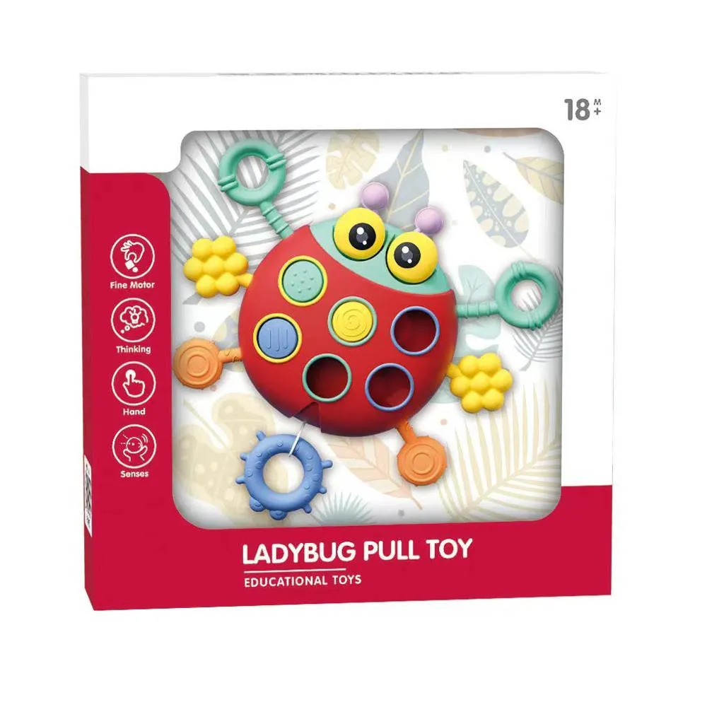 Ladybug Pull Toy - Ages 18M 