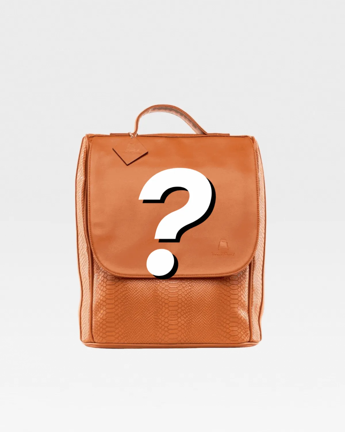 Mystery Mens Backpack