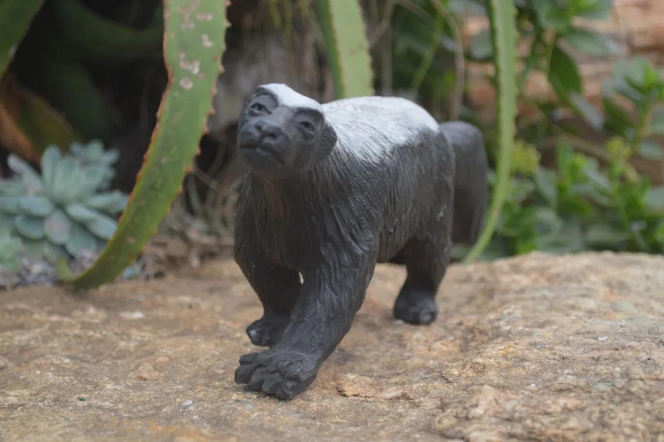 Polished Groovy Black & White Soapstone Honey Badger Carving  x 1 From Zimbabwe