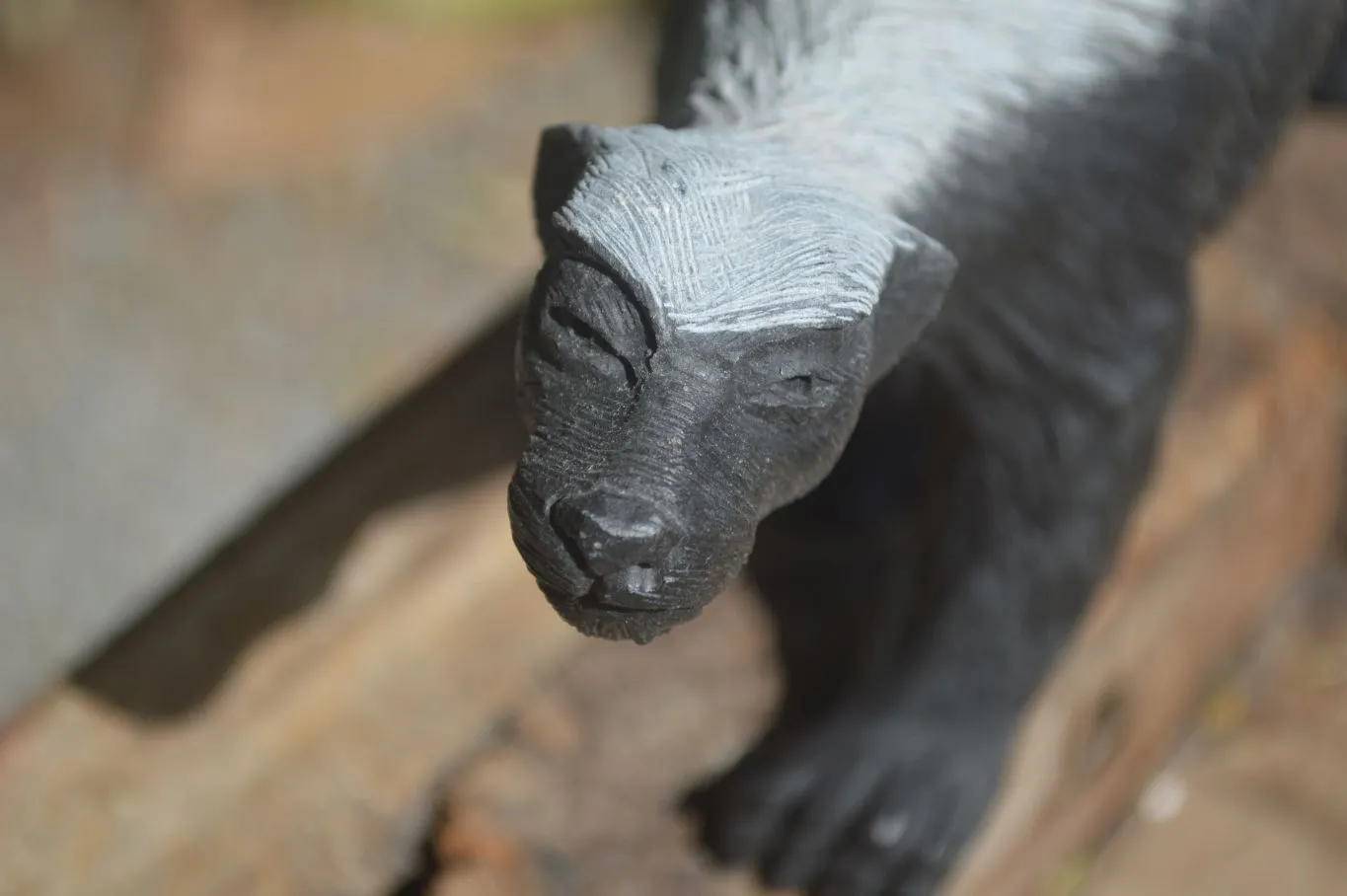 Polished Groovy Black & White Soapstone Honey Badger Carving  x 1 From Zimbabwe