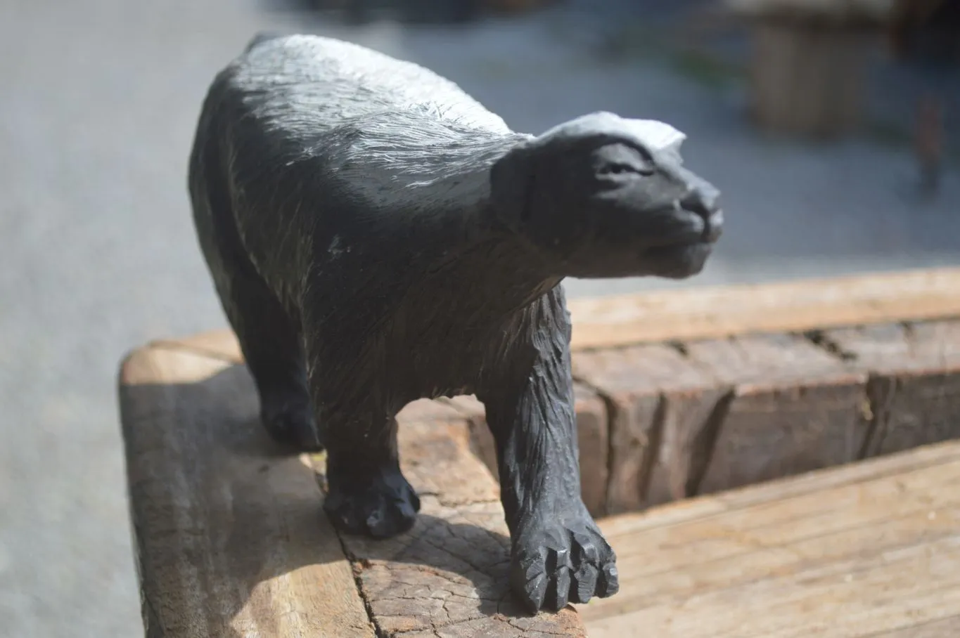 Polished Groovy Black & White Soapstone Honey Badger Carving  x 1 From Zimbabwe