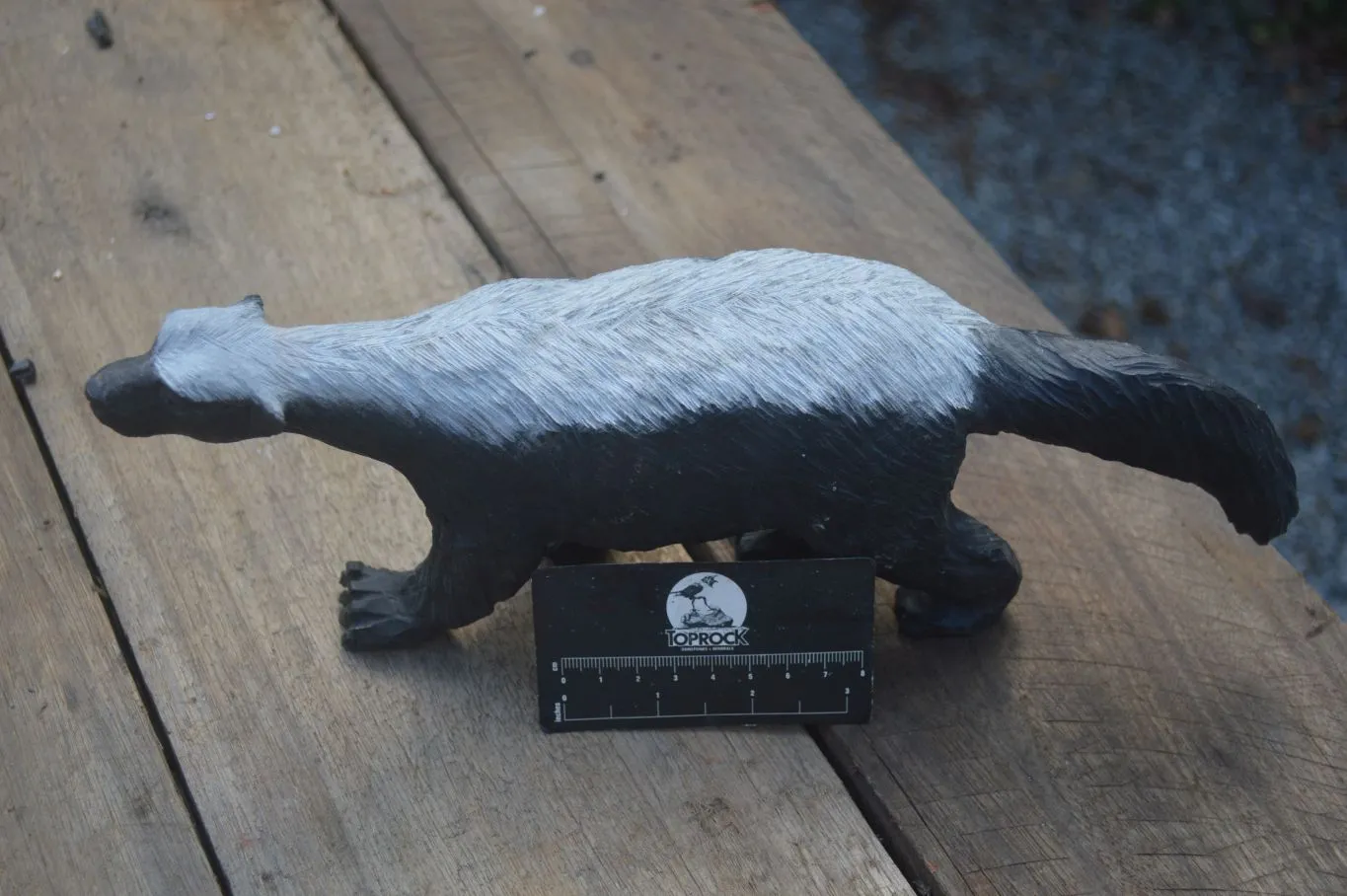 Polished Groovy Black & White Soapstone Honey Badger Carving  x 1 From Zimbabwe