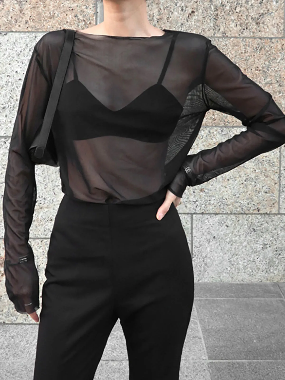 Sheer Long Graceful Sleeve Mesh Top