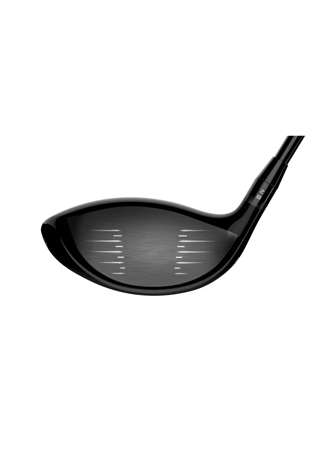 Titleist TS1 Golf Driver