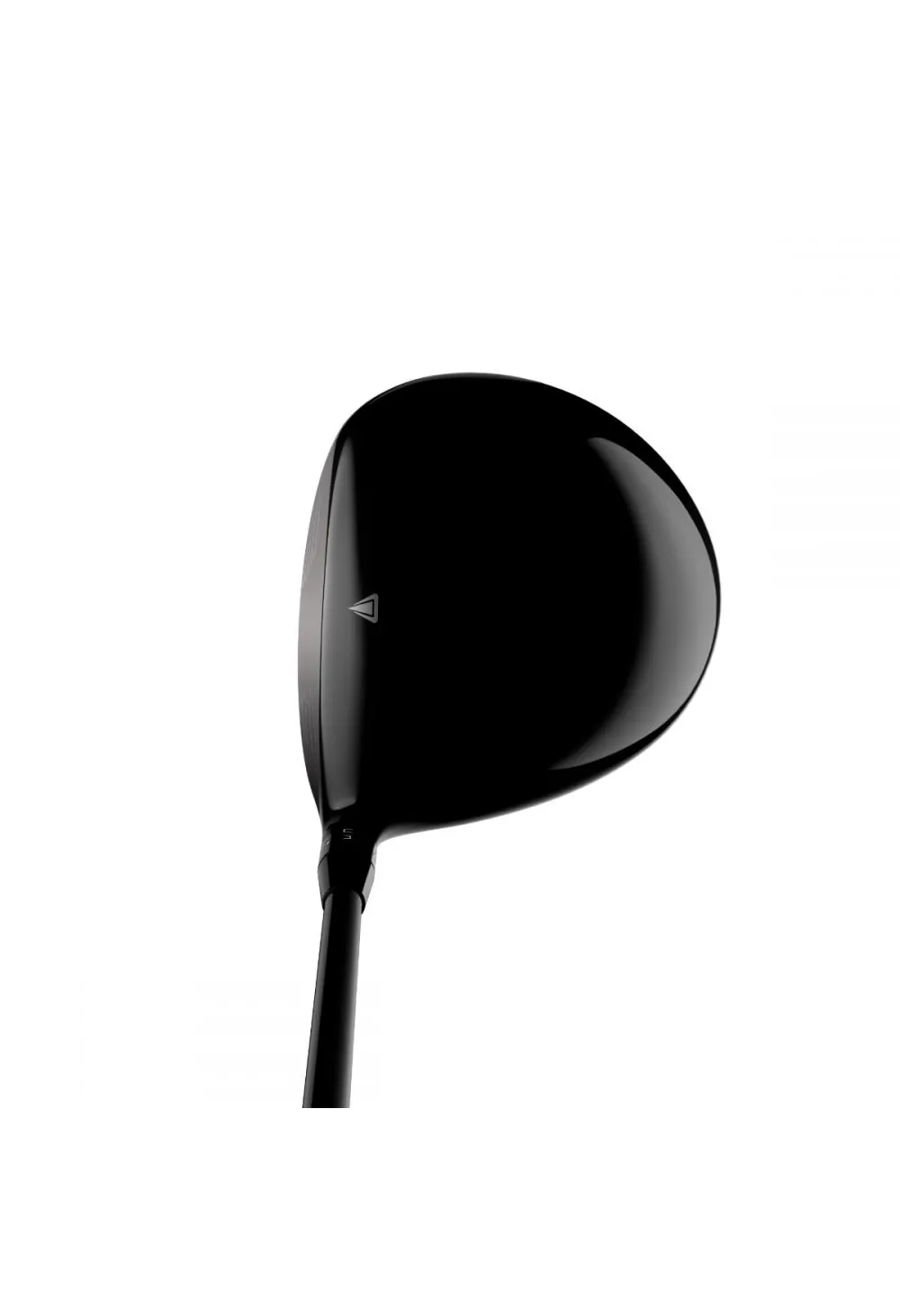 Titleist TS1 Golf Driver